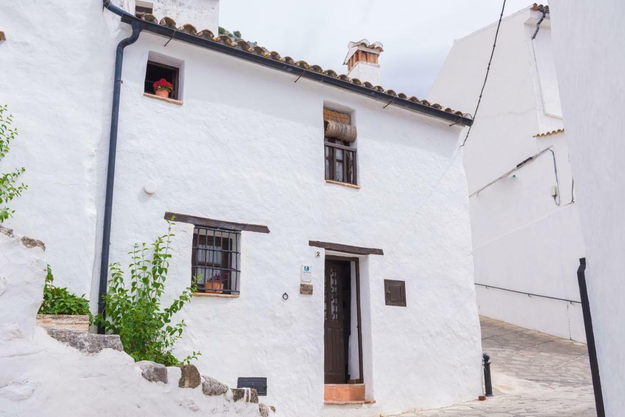 Conjunto Rural Casa Victoria Guest House Villaluenga Del Rosario Bagian luar foto