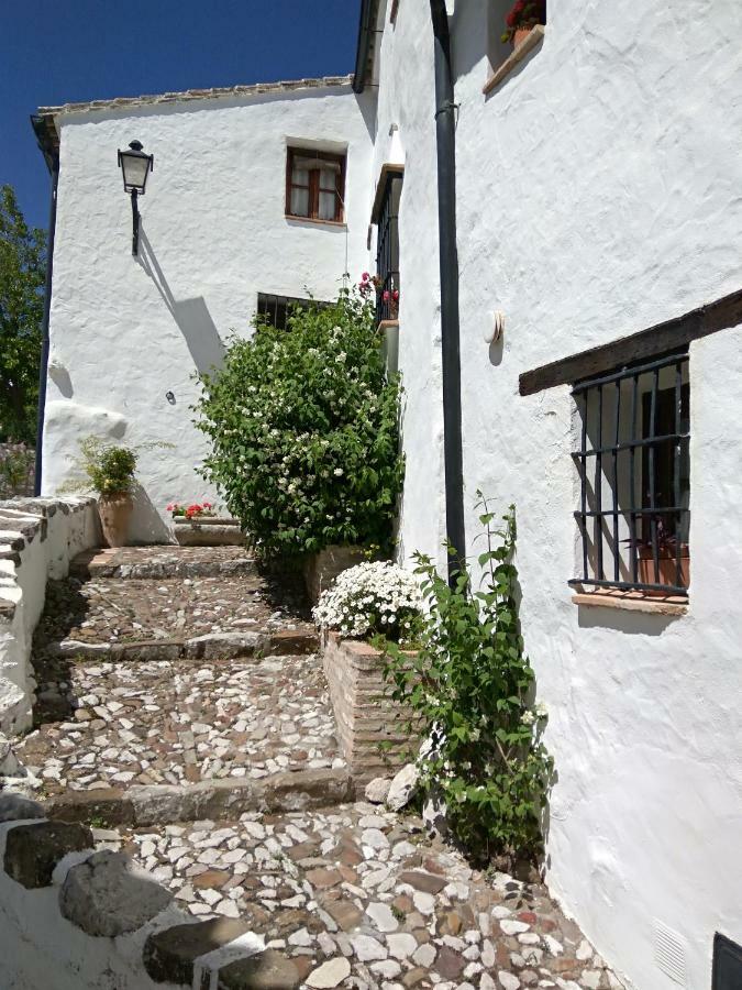 Conjunto Rural Casa Victoria Guest House Villaluenga Del Rosario Bagian luar foto